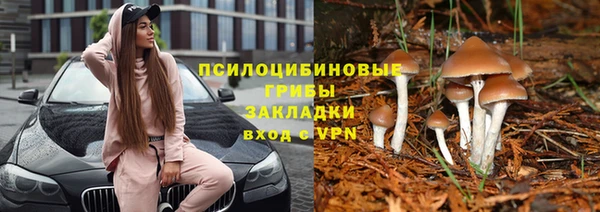 стаф Алексеевка