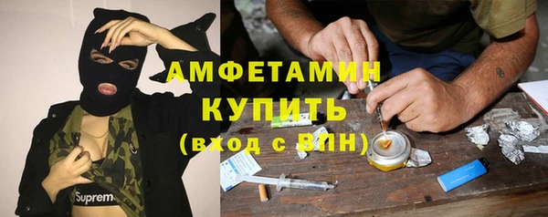 крисы Пестово